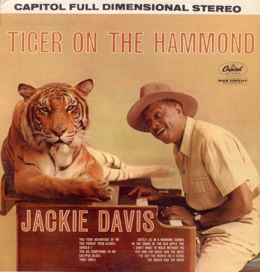 tiger on the hammond jackie davis.jpg